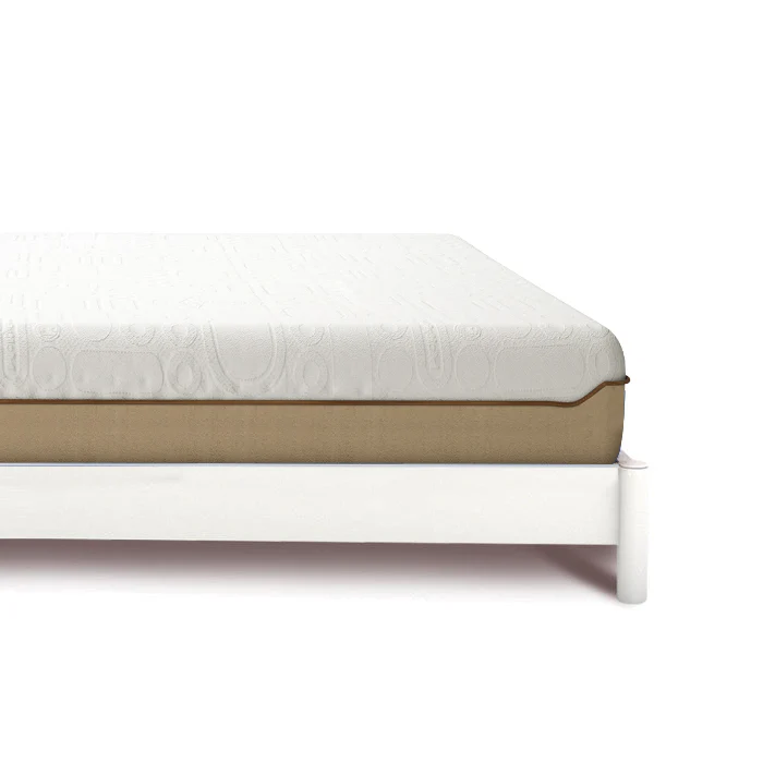 MoltyFoam